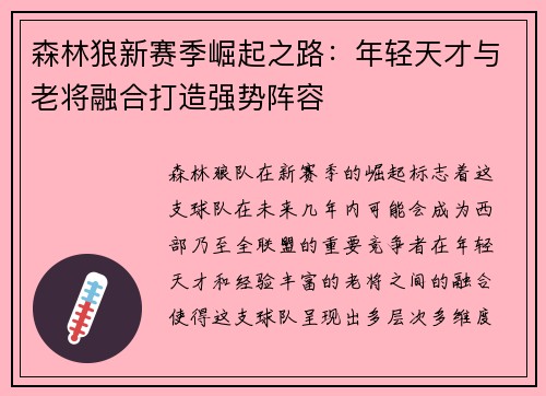 森林狼新赛季崛起之路：年轻天才与老将融合打造强势阵容
