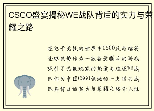 CSGO盛宴揭秘WE战队背后的实力与荣耀之路